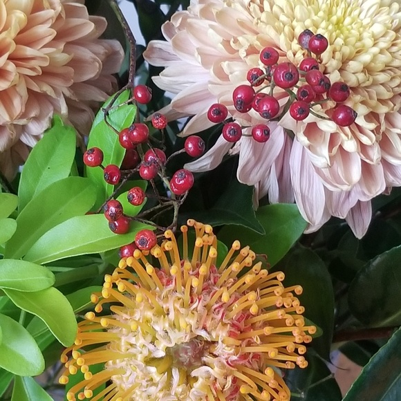 Meet your Posher, Christine - Picture 1 of 1